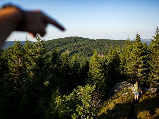 Ekologia i zieleń na Górce Narodowej – jak mieszkańcy zmieniają swoje osiedle?